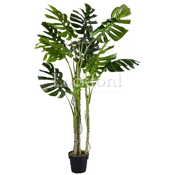artificial swiss cheese plant Lockford Indoor Artificial Plants